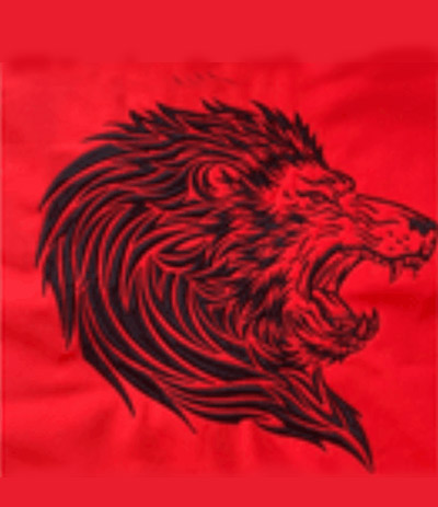 leader2